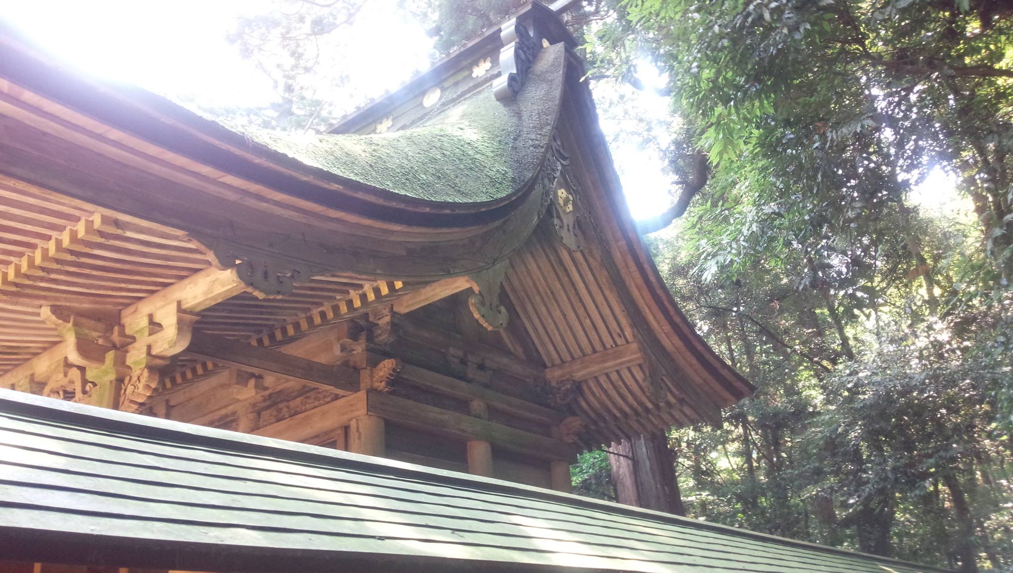 【Photo Album】 Kashima Shrine Sword Dedication Ritual